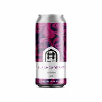 Vault City Blackcurrant Session Sour - Drink It In